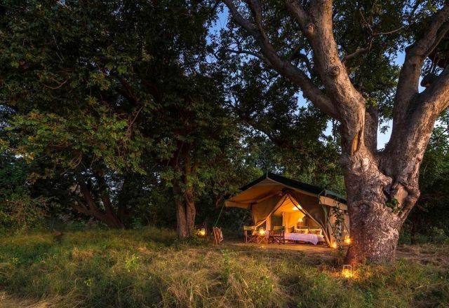 John´s Camp