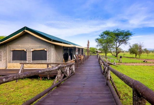 Tanzania Bush Camp - Central Serengeti
