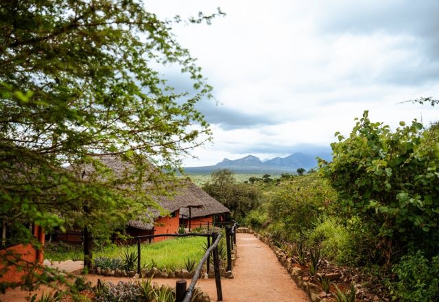 Leopard´s Lair Cottages