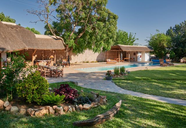 Wild Dogs Lodge
