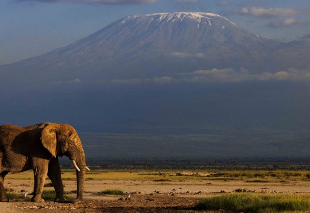 Big Five Safari