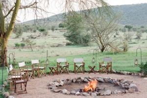 Mara Bush Tops Fireplace