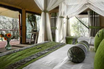 Litttle Mara Bush Camp6