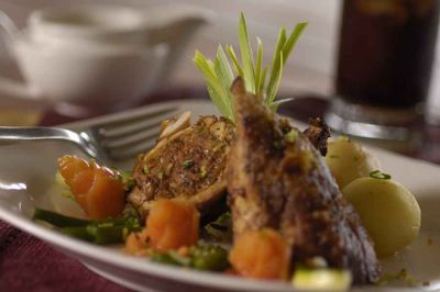 Elephant Bedroom Camp4