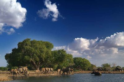 Satao Camp2