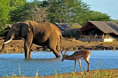 Satao Camp3