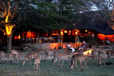 Satao Camp5