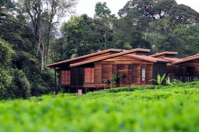 Nyungwe Forest Lodge03