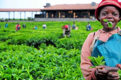 Nyungwe Forest Lodge09