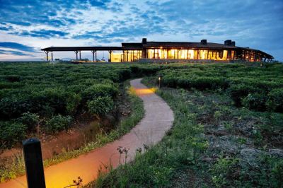 Nyungwe Forest Lodge11