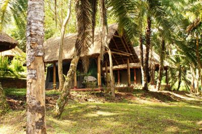 Kibale Forest Camp03