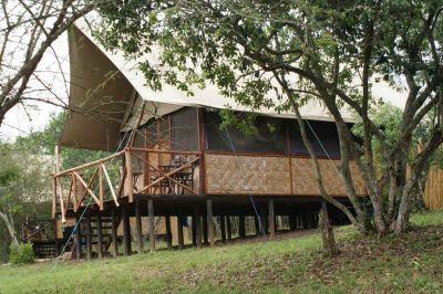 Qn Bush Lodge04