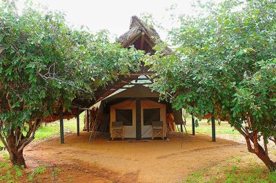 Ithumba Camp Tsavo Ost 2