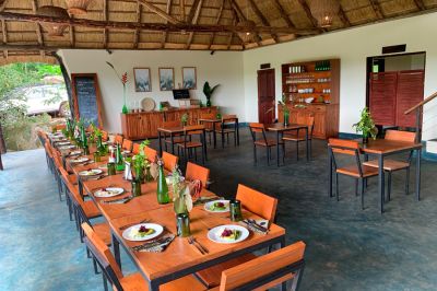 Turaco Treetops Lodge 3