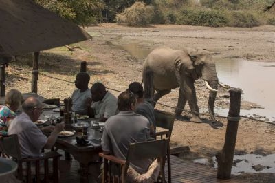Kanga Camp Manapools Africanbushcamps 5