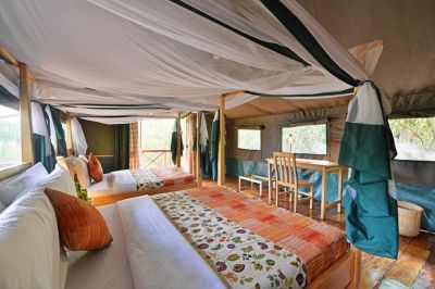 Bugoma Jungle Lodge8