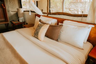 Leopardslairsoroi Neu5