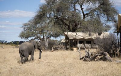 Somalisa Expeditions4