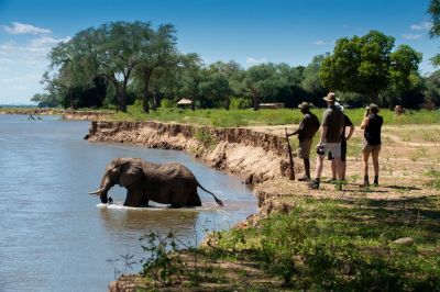 Zambezi Expeditions2