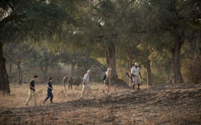 Zambezi Expeditions8