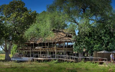 Nyamatusi Mahogany10