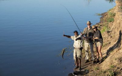 Nyamatusi Mahogany11