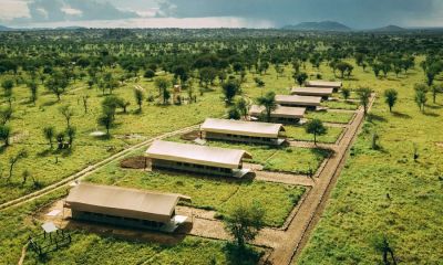 Serengetitortiliscamp2