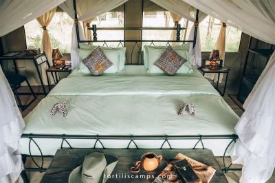 Serengetitortiliscamp4