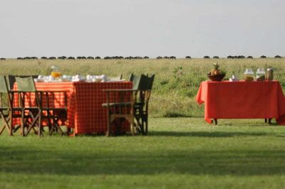 Elephantpeppercamp2