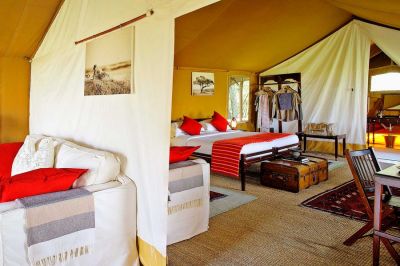 Elephantpeppercamp3