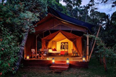 Elephantpeppercamp4