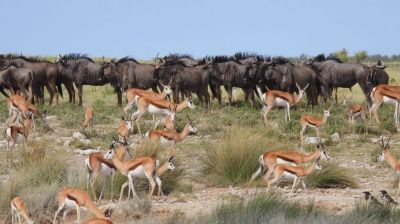 Namibiafamtripgalerie14