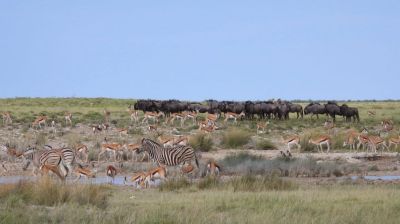 Namibiafamtripgalerie15