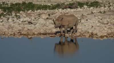 Namibiafamtripgalerie17