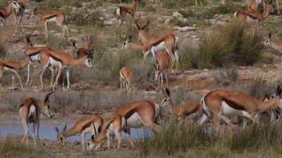 Namibiafamtripgalerie2