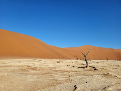 Namibiafamtripgalerie20