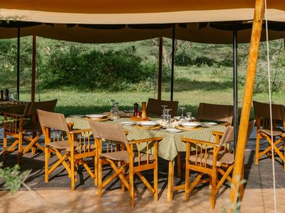 Intimate Camp Zebra1