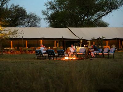 Intimate Camp Zebra3