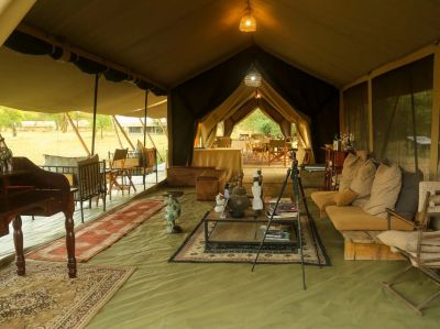 Intimate Camp Zebra4