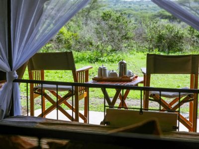 Intimate Camp Zebra6