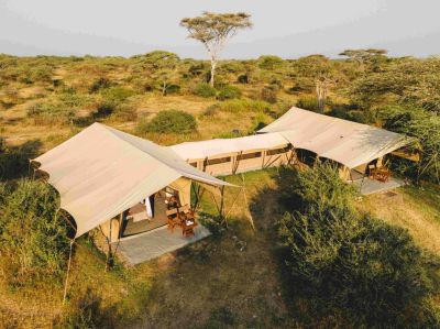 Intimate Camp Zebra8