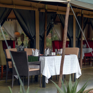 credit: wellworthcollection