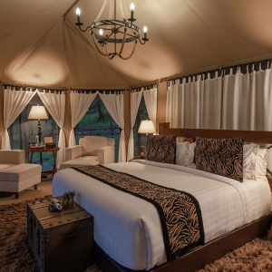 credit: wellworthcollection