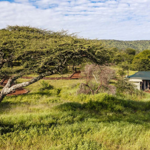 credit: wellworthcollection