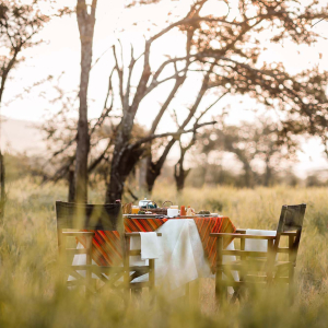 credit: wellworthcollection