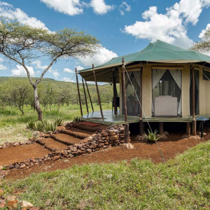 credit: wellworthcollection