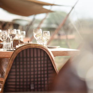 Siringit Serengeti Camp