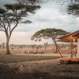 Siringit Serengeti Camp