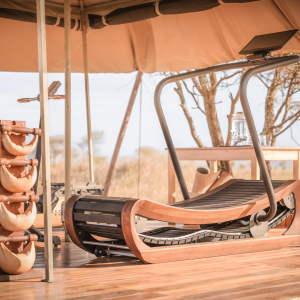 Small Gym -Siringit Serengeti Camp