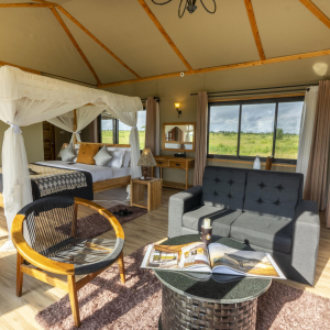 sametu_-_new_room_-_121